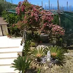 Bed & Breakfast Oasi Madre Della Pace Sorrento