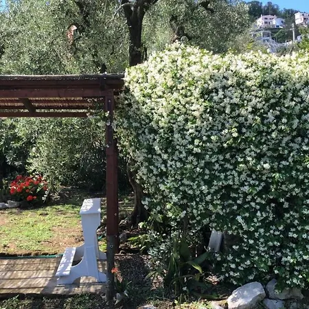 فندق مبيت وإفطار Oasi Madre Della Pace سورينتو