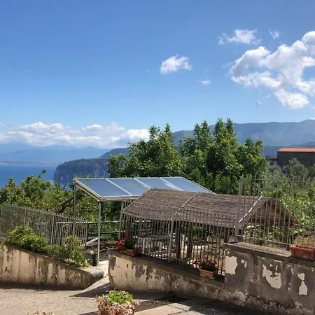 Oasi Madre Della Pace 4*