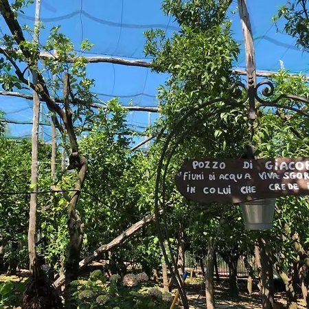 Oasi Madre Della Pace 4* سورينتو