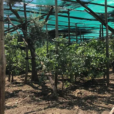 Oasi Madre Della Pace Couette-café Sorrente
