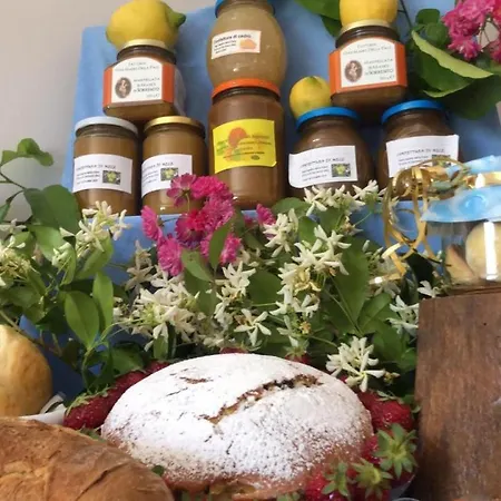 Oasi Madre Della Pace 4*