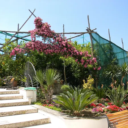 Oasi Madre Della Pace 4*