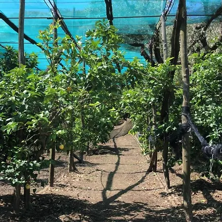 Oasi Madre Della Pace 4* Сорренто