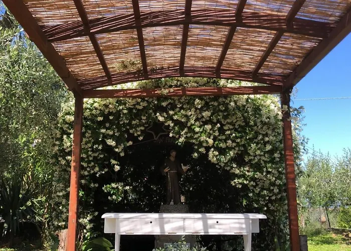 Oasi Madre Della Pace Alojamento de Acomodação e Pequeno-almoço Sorrento