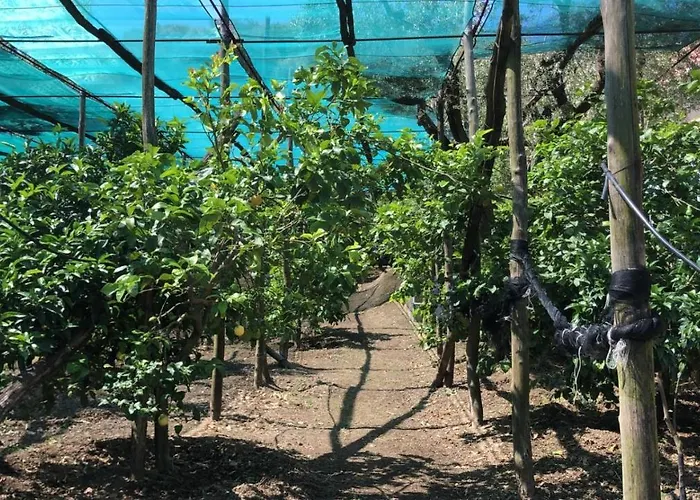 Oasi Madre Della Pace 4* Sorrento