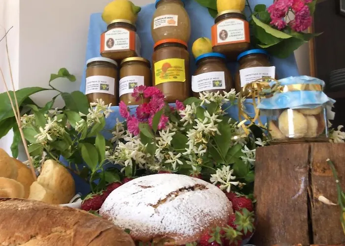 Oasi Madre Della Pace 4*