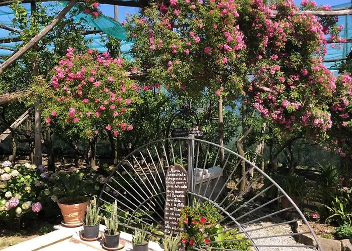 Alojamento de Acomodação e Pequeno-almoço Oasi Madre Della Pace Sorrento