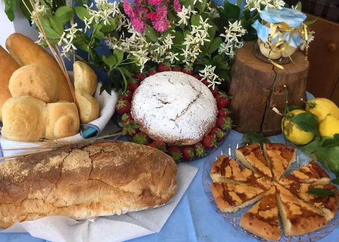 Oasi Madre Della Pace