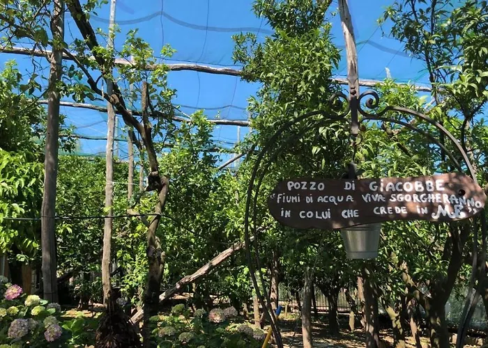 Oasi Madre Della Pace 4* Sorrento