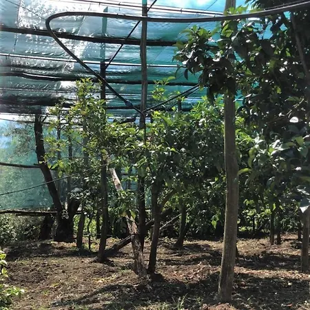 Oda ve Kahvaltı Oasi Madre Della Pace 4*