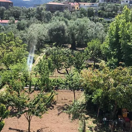 Oasi Madre Della Pace