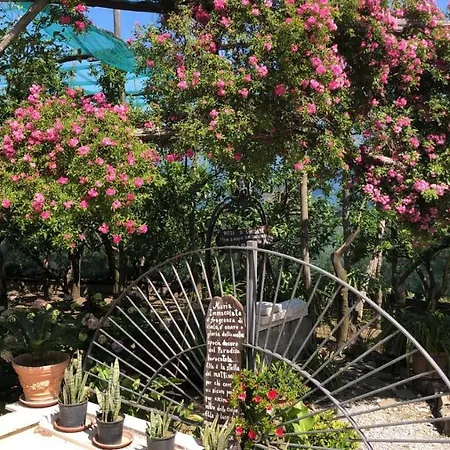 Bed & Breakfast Oasi Madre Della Pace Sorrento