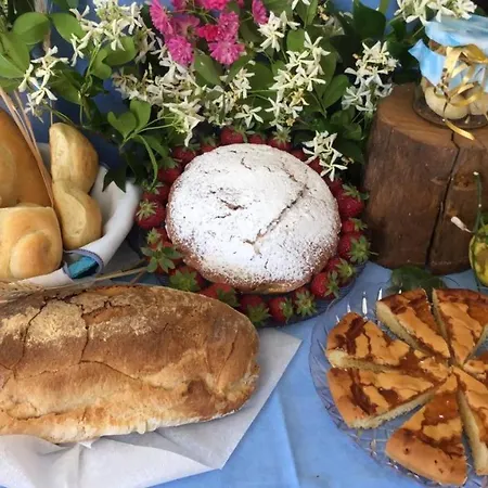 Oasi Madre Della Pace