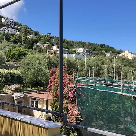 Oda ve Kahvaltı Oasi Madre Della Pace Sorrento