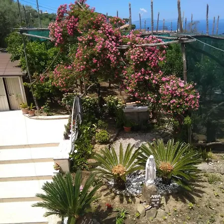 Oda ve Kahvaltı Oasi Madre Della Pace Sorrento