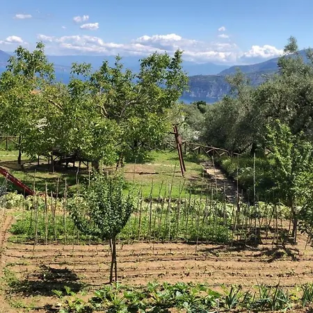 Bed & Breakfast Oasi Madre Della Pace Sorrento
